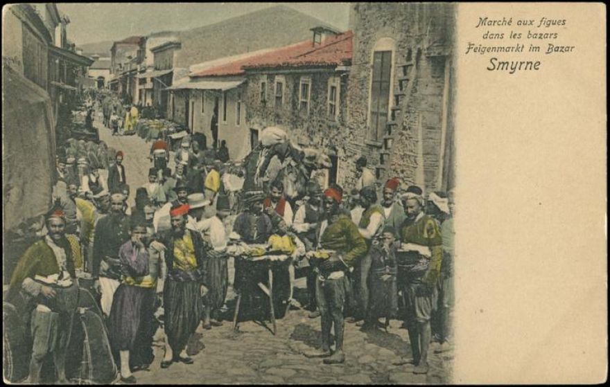 &Sigma;ύ&kappa;&alpha; - &Eta; &alpha;&gamma;&omicron;&rho;ά &tau;&omega;&nu; &sigma;ύ&kappa;&omega;&nu;