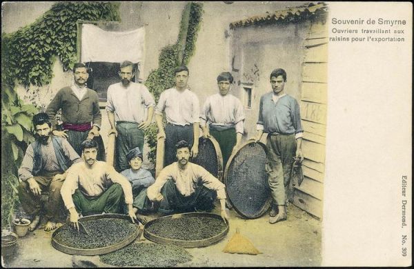 &Sigma;&tau;&alpha;&phi;ί&delta;&alpha; - &Epsilon;&rho;&gamma;&alpha;&zeta;ό&mu;&epsilon;&nu;&omicron;&iota; &sigma;&tau;&eta; &sigma;&tau;&alpha;&phi;ί&delta;&alpha; &gamma;&iota;&alpha; &epsilon;&xi;&alpha;&gamma;&omega;&gamma;ή